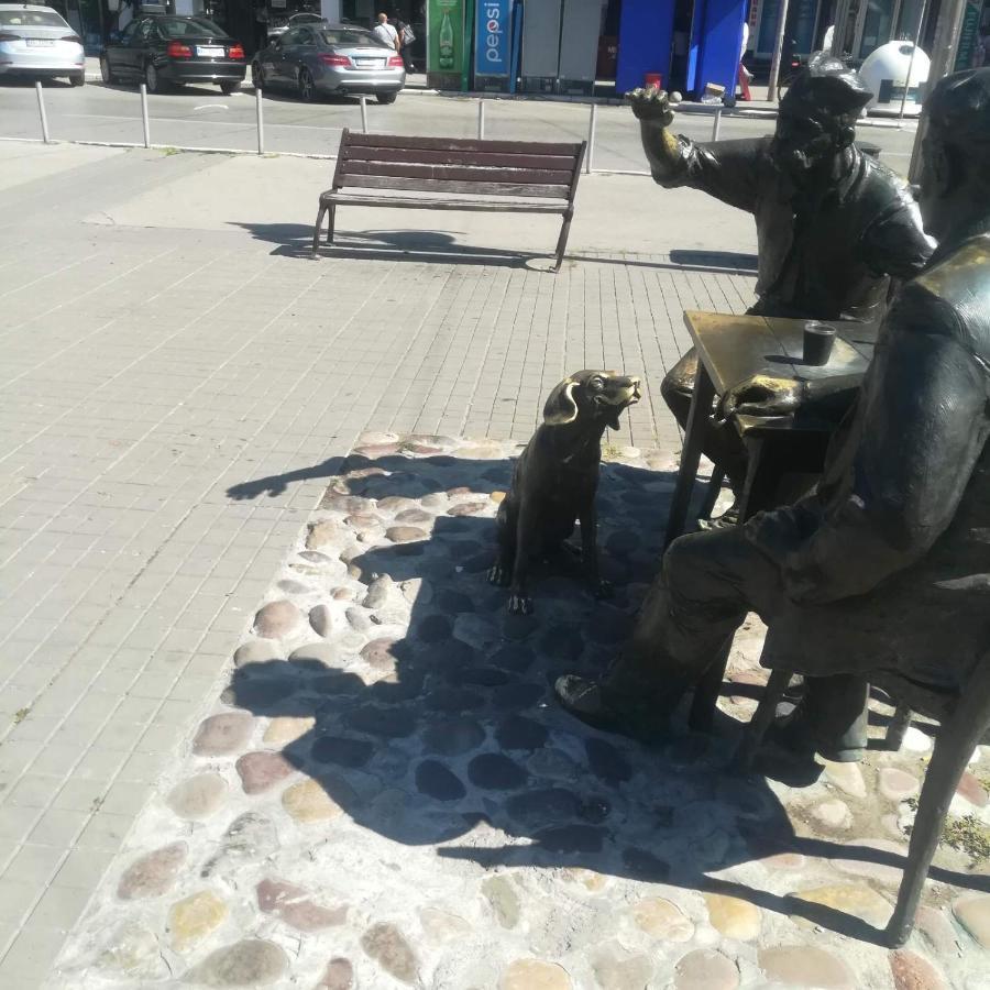 Ferienwohnung Suvi Centar Ni Exterior foto